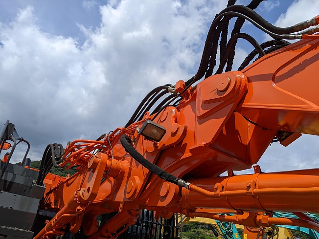 ケムンパス出品 立体標本5点 ケムンパス出品 立体標本5点 ケムンパス様専用出品 立体標本5点