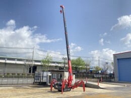 UNIC Cranes URW295C1 2017