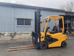 NICHIYU Forklifts FB25PN-80-400SF 2019