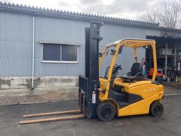 NICHIYU Forklifts FB25PN-80-400SF 2019