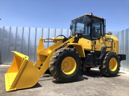 KOMATSU Wheel loaders WA100-8 2019