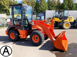 HITACHI Wheel loaders ZW30-5B 2017