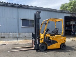 NICHIYU Forklifts FB25PN-80-400SF 2019