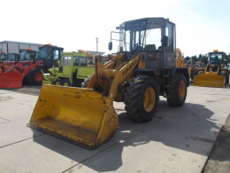 Others Wheel loaders Other/others 2001