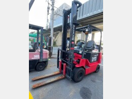 NICHIYU Forklifts FB25PN-77B-450 2019