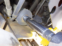 thumb