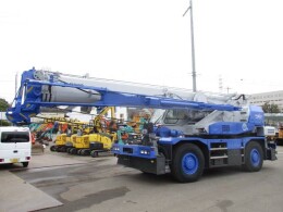 TADANO Cranes GR-250N-2 2009