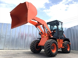 HITACHI Wheel loaders ZW80S-5B 2019