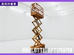 Haulotte Aerial work Platforms (self-propelled) OPTIMUM8 2013