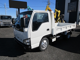 ISUZU Dump trucks PB-NKR81AD 2005