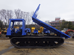 IWAFUJI Carrier dumps U-6A 2004