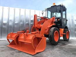 HITACHI Wheel loaders ZW50 2010