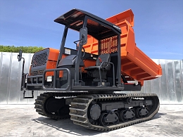 HITACHI Carrier dumps EG40R-C 2006