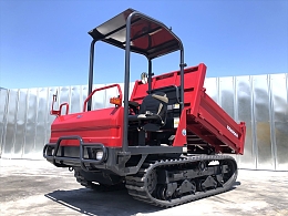YANMAR Carrier dumps C30R-2B 2015