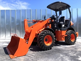 HITACHI Wheel loaders ZW30-5B 2016
