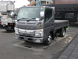 TPG-FEA20