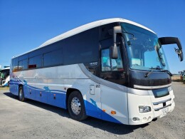 HINO Buses 2TG-RU1ASDA 2018