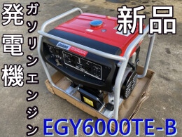 SHINDAIWA Generators EGY6000TE-B 2020