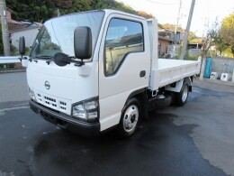 NISSAN Dump trucks PB-AKR81AD 2005