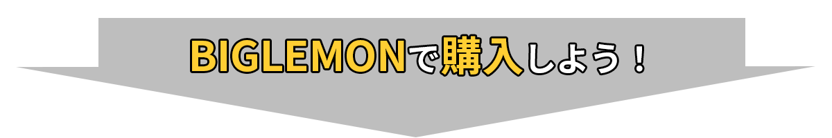 BIGLEMONで購入しよう！
