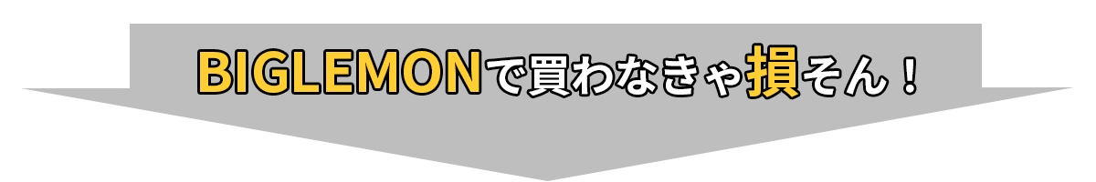 BIGLEMONで買わなきゃ損そん！